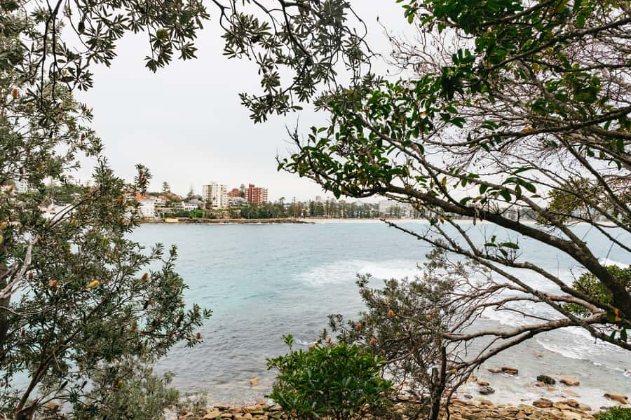 Sydney: Manly and Shelly Beach Snorkeling Tour - How the guides turn sightings into stories