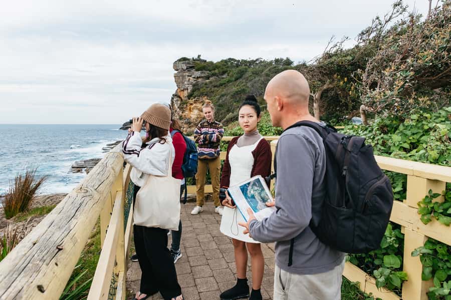 Sydney: Manly and Shelly Beach Snorkeling Tour - Price and value: is $77 worth it?