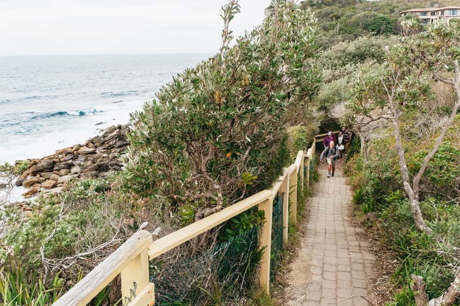 Sydney: Manly and Shelly Beach Snorkeling Tour - What to bring so the day goes smoothly