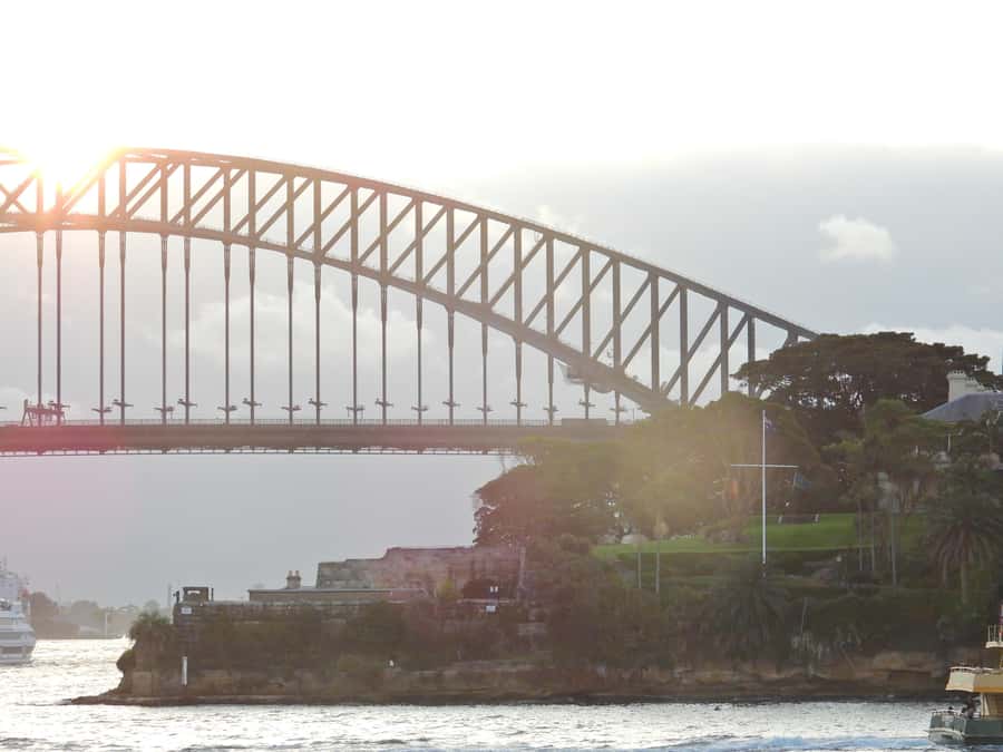 Sydney: Morning or Afternoon Harbour Sightseeing Cruise - Morning vs afternoon: how to pick the right departure