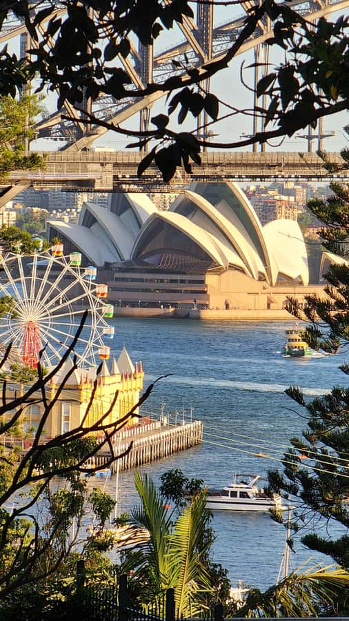 Sydney: Opera & Harbour Bridge Small-Group Kayak Tour - Kayaking to the Harbour Bridge: Photo Stop Meets Real Water