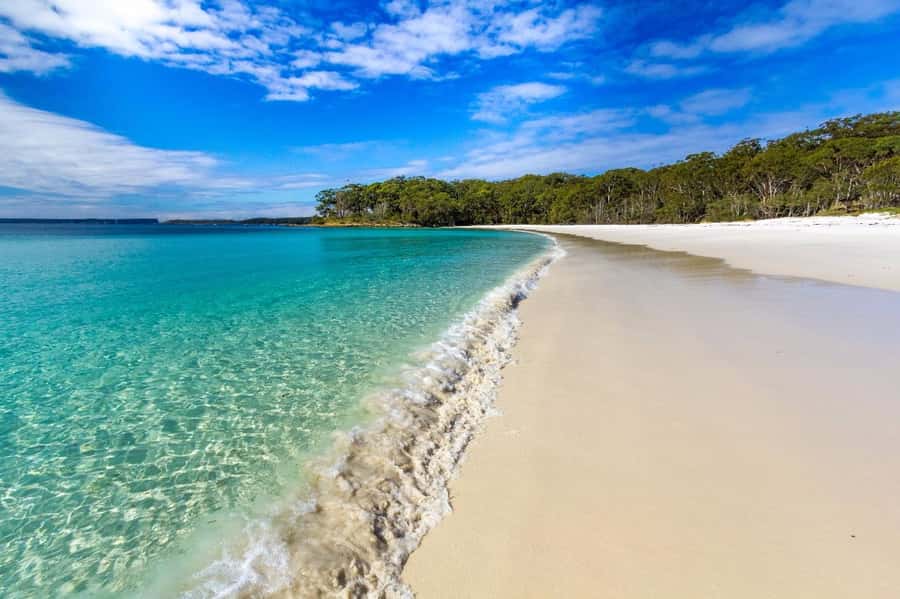 Sydney: Port Stephens Day Trip with Dolphin Cruise or Hike - Key Things to Know Before You Go