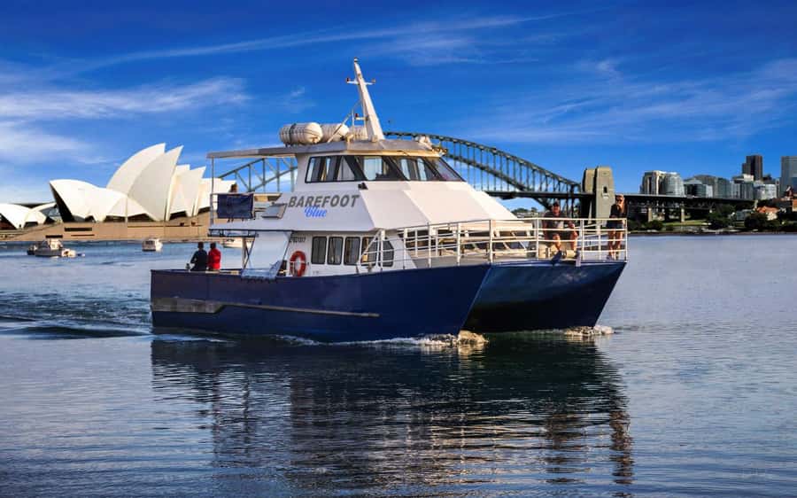 Sydney: Scenic Whale Watching Cruise - Whales Guaranteed - Is It Worth $45? Value for Sydney Whale Watching
