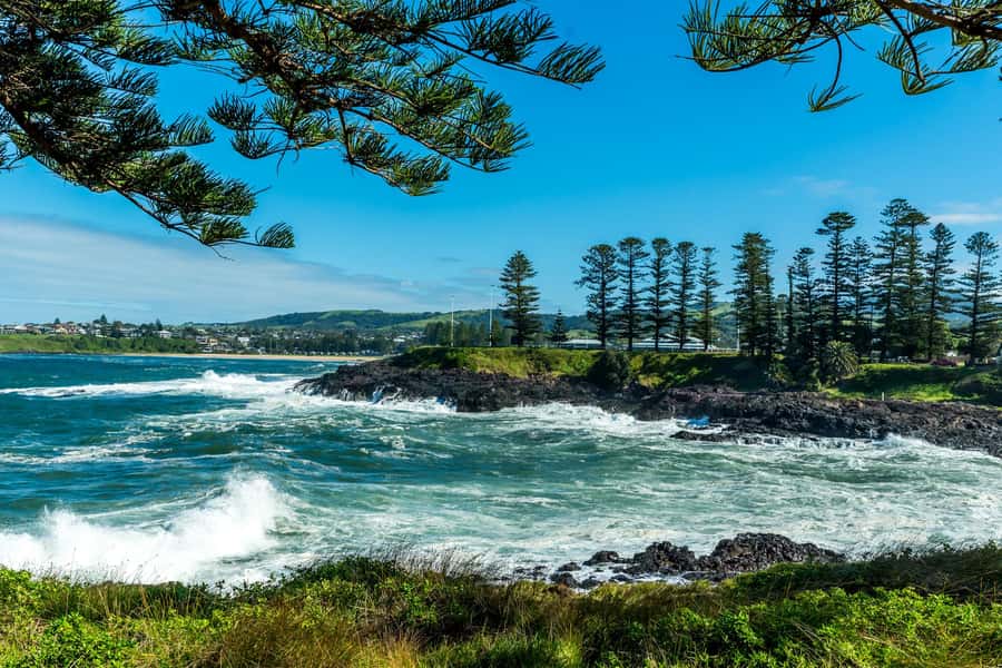 Sydney: Sea Cliff Bridge, Kiama Blowhole and Farmlands Tour - Wildlife spotting: how guides turn chances into moments