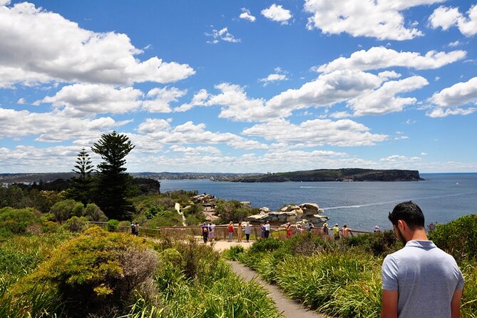 Sydney Sightseeing Bus Tour with Local Guide - Key highlights worth your attention
