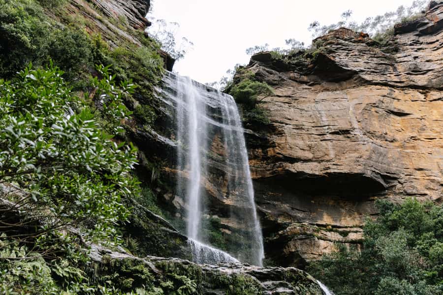 Sydney: Small Group Blue Mountains, Wildlife & Waterfalls - Blue Mountains Day Trip From Sydney: Wildlife First, Then Rainforest Views