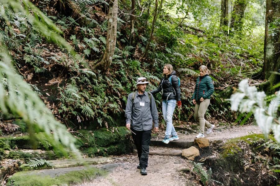Sydney: Small Group Blue Mountains, Wildlife & Waterfalls - Featherdale Wildlife Park: A Proper Animal Encounter (Not Just a Quick Look)