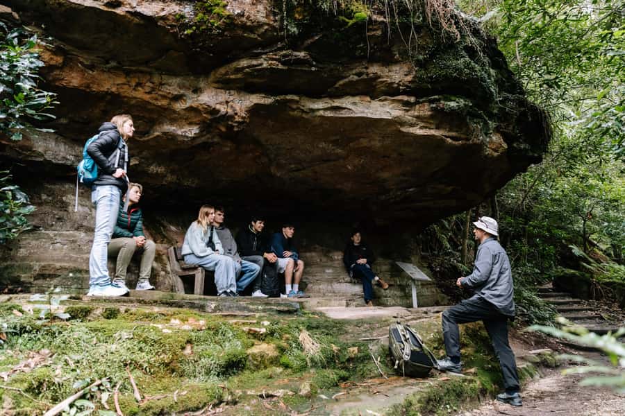 Sydney: Small Group Blue Mountains, Wildlife & Waterfalls - Who This Blue Mountains Tour Fits Best (And Who Should Skip It)