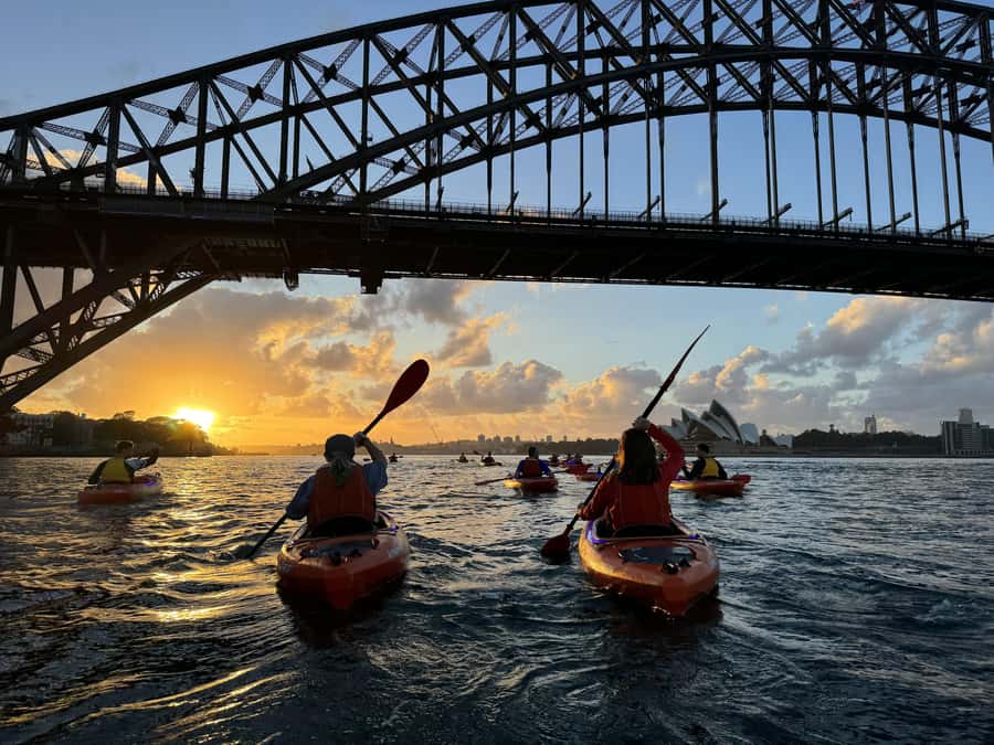 Sydney: Sunrise Kayak, Opera House & Under Harbour Bridge - The First Paddle: LED Kayaks, Harbour Views, and Morning Marine Life