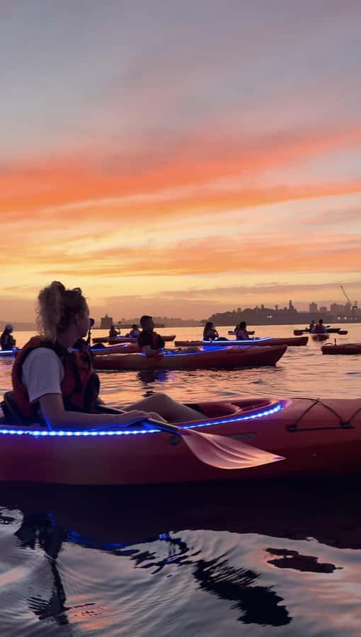 Sydney: Sunrise Kayak, Opera House & Under Harbour Bridge - Breakfast at the Flying Bear Café: Where the Value Gets Real