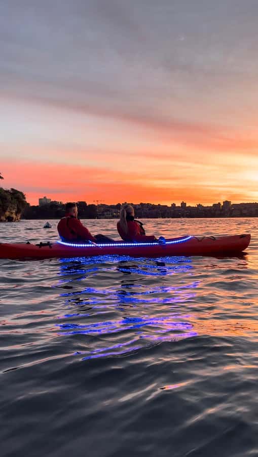 Sydney: Sunrise Kayak, Opera House & Under Harbour Bridge - What to Bring for a Cold-Hands, Camera-Ready Morning