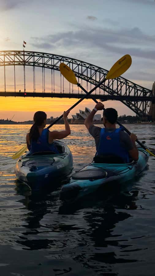 Sydney Sunrise Kayak Tour on Sydney Harbour - The Sunrise Kayak Rhythm: Calm Water, Real Harbor Time