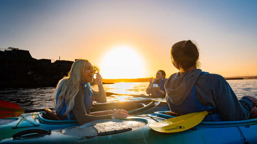 Sydney Sunrise Kayak Tour on Sydney Harbour - Who This Tour Fits Best (And Who Should Skip It)