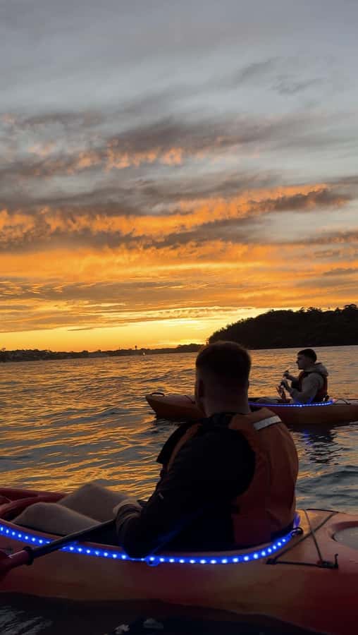 Sydney: Sunset Kayak Tour on Sydney Harbour - Price and value: why $105 can make sense here