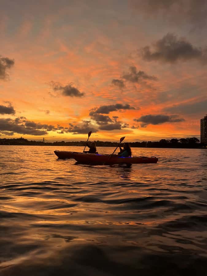 Sydney: Sunset Kayak Tour on Sydney Harbour - Practical timing tips so you get the best sunset moments