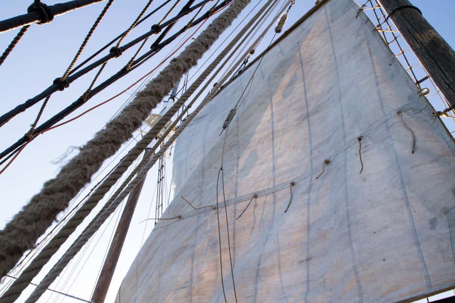 Sydney: Tall Ship Harbour Twilight Dinner Cruise - Should you book the Sydney Tall Ship Harbour Twilight Dinner Cruise?