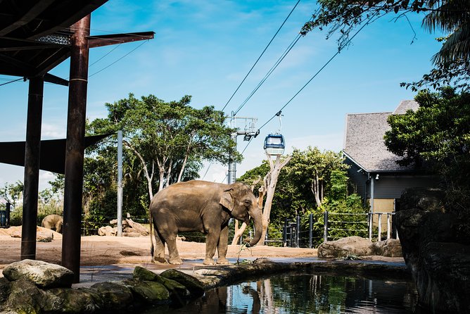 Sydney Taronga Zoo Wild Australia Experience - Key highlights at a glance