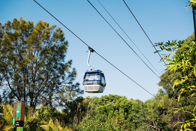 Sydney Taronga Zoo Wild Australia Experience - All-day Taronga Zoo access: how to use the extra hours