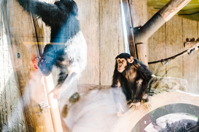 Sydney Taronga Zoo Wild Australia Experience - Price and value: is $129.10 a smart buy?