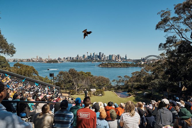 Sydney Taronga Zoo's Aussie Backyard Adventure Tour - Meeting at Taronga: location and how to think about the day
