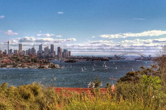 Sydney, The Rocks, Watsons Bay, Bondi Beach FULL DAY PRIVATE TOUR - Mrs Macquarie’s Chair and Royal Botanic Garden: the bridge-and-opera photo that matters