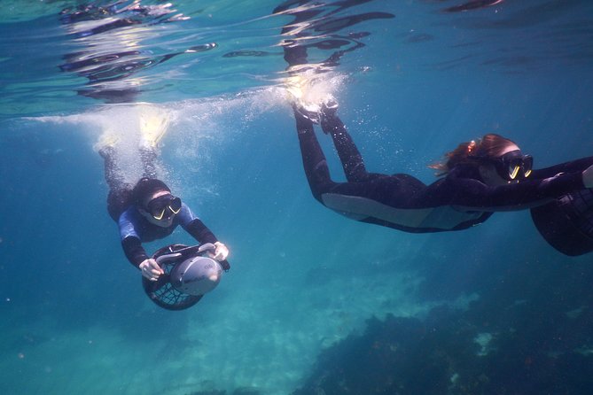 sydney underwater scooter tours - Meeting at Burrows Park, then down to Clovelly Surf Club