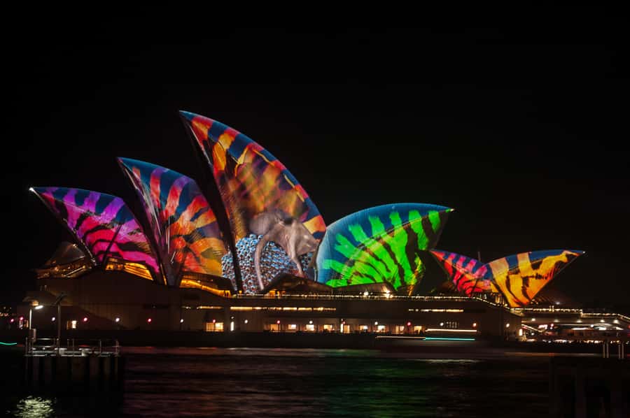 Sydney: Vivid Festival of Light Harbor Cruise with Dinner - Vivid from the water: what this 90-minute dinner cruise really gives you