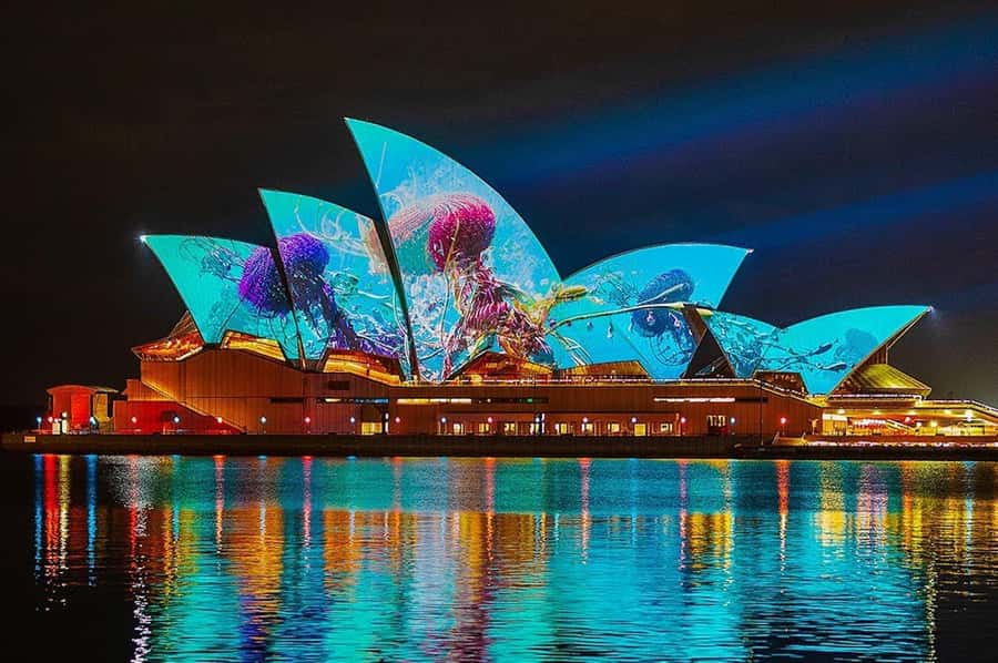 Sydney: Vivid Harbour Cruise with Canapes - Why This Vivid Sydney Harbour Cruise Feels Different From the Shore
