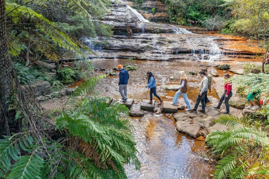 Sydney: Waterfall Bushwalk and Blue Mountain Sunset Day Trip - Late-Start Blue Mountains: Less Traffic, Softer Light, Real Views