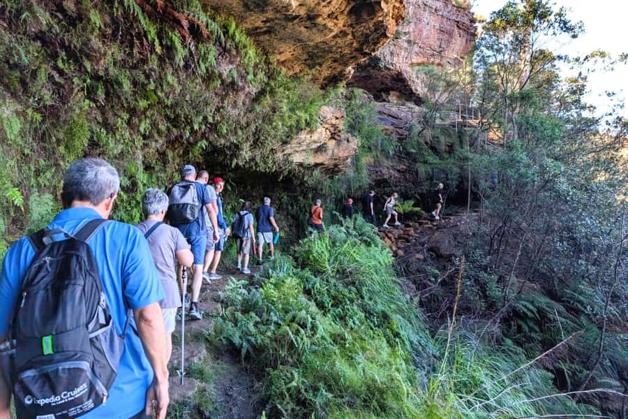 Sydney: Waterfall Bushwalk and Blue Mountain Sunset Day Trip - World Heritage Bushland Walks: What the Guided Nature Time Really Adds