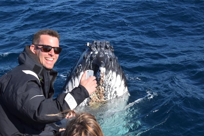 Sydney Whale-Watching by Speed Boat - Weather Reality Check: When the Sea Dictates the Schedule