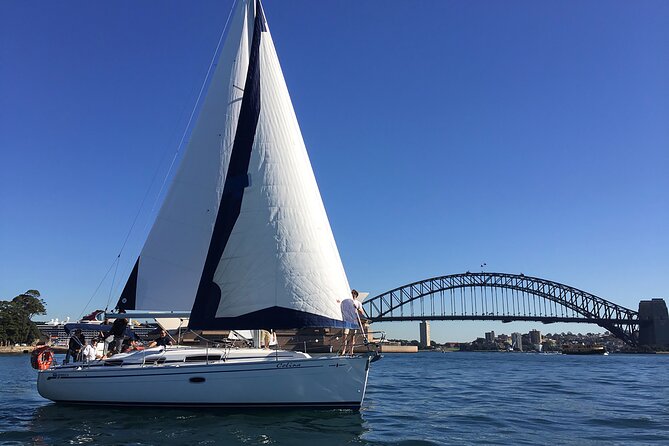 Sydney Whale Watching Cruise from Circular Quay - The Catamaran Setup: Open-Air Decks Actually Matter