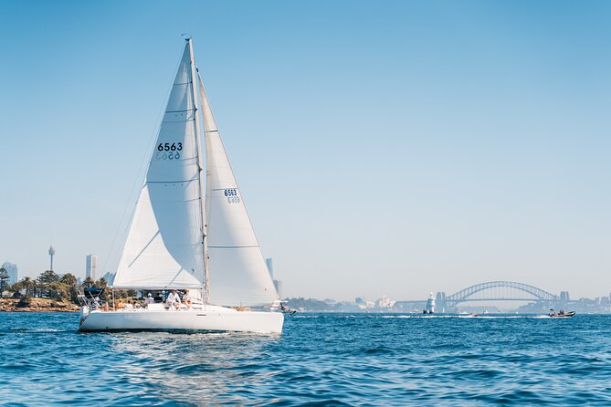 Sydney Whale Watching Cruise from Circular Quay - Timing, Food, and What You Can Do During the 2.5 Hours