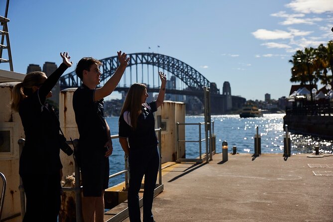 Sydney Whale-Watching Cruise Including Lunch or Breakfast - How to judge value at $74.59 per person