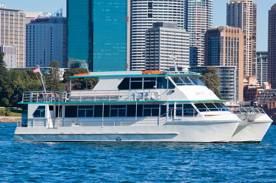 Sydney Whale Watching Cruise with Breakfast or Lunch - Sydney Heads to Open Water: How Whale Spotting Feels on Deck