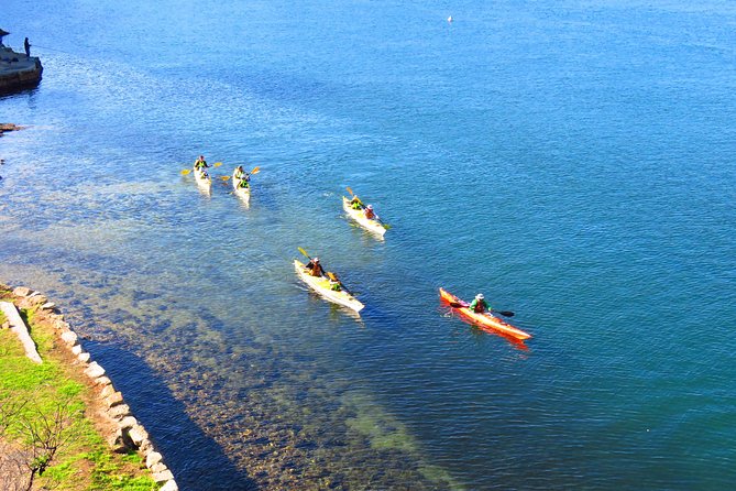 Sydney's Middle Harbour Sea Kayaking Eco Tour (Fully Guided) - Instruction That Works for First-Timers (and Calm Fears)