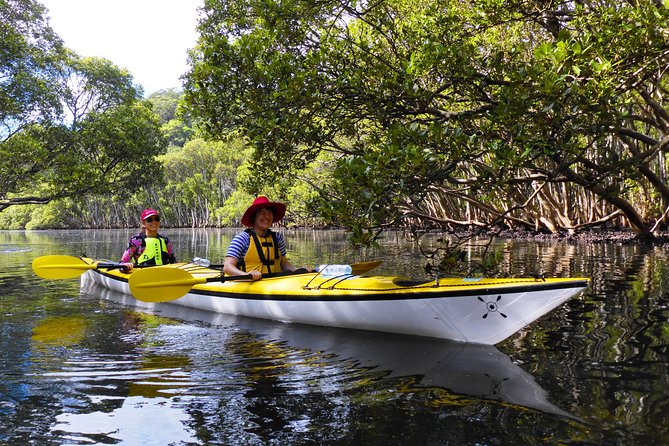 Sydney's Middle Harbour Sea Kayaking Eco Tour (Fully Guided) - What the Paddling Rhythm Feels Like (Without Overhyping It)