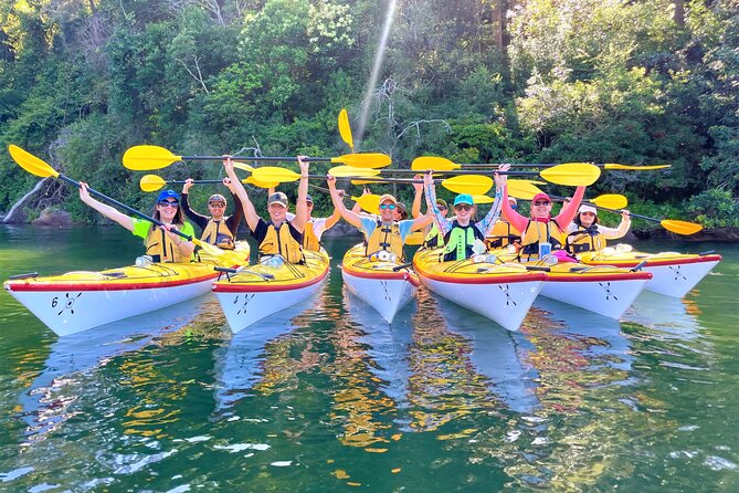 Sydney's Middle Harbour Sea Kayaking Eco Tour (Fully Guided) - Equipment and Comfort: How to Set Yourself Up for an Easy Win