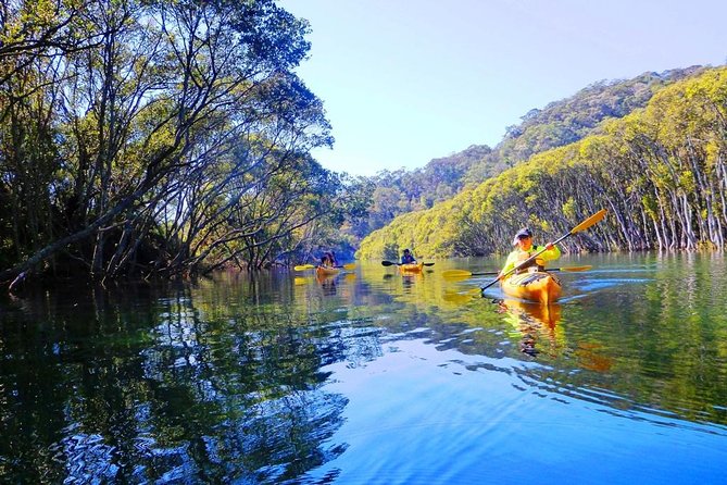 Sydney's Middle Harbour Sea Kayaking Eco Tour (Fully Guided) - Garigal National Park by Kayak: What You’re Actually Seeing