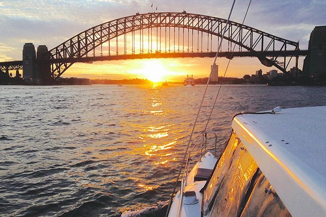 Taronga Zoo Entry & Return Ferry - Sydney Harbour - Keeper Talks, Animal Feedings, Seal Theatre, and Bird Flights