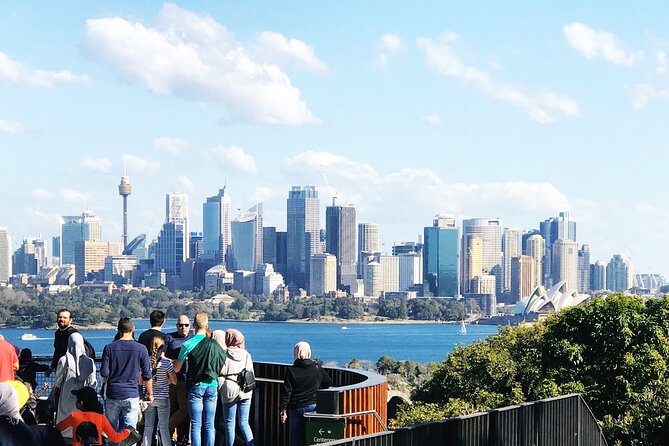 Taronga Zoo Entry & Return Ferry - Sydney Harbour - Price and Logistics: When This Booking Makes Sense