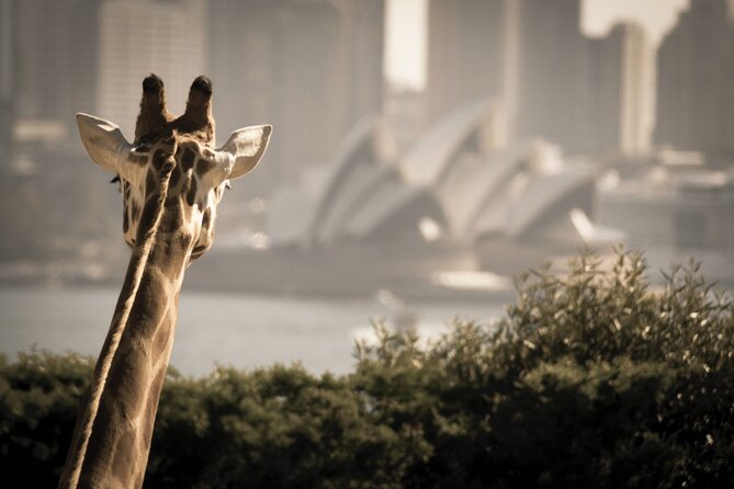 Taronga Zoo Entry & Sydney Harbour 2-Day Hop On Hop Off Cruise - Taronga Zoo: The Best Way to Spend Your Included Admission