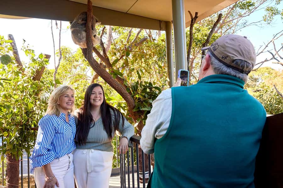 Taronga Zoo Sydney Wild Australia Experience - Your personalized Koala Encounter: close time, keeper-guided