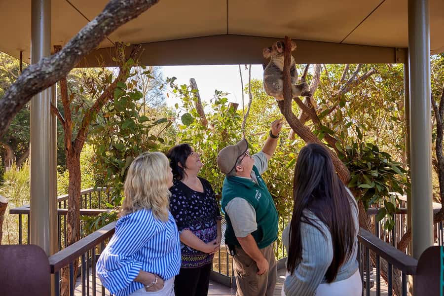 Taronga Zoo Sydney Wild Australia Experience - Conservation context you’ll actually remember