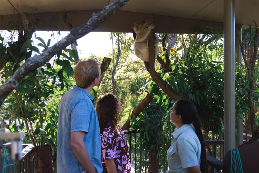 Taronga Zoo Sydney Wild Australia Experience - Starting at Taronga: meeting point, timing, and what to bring