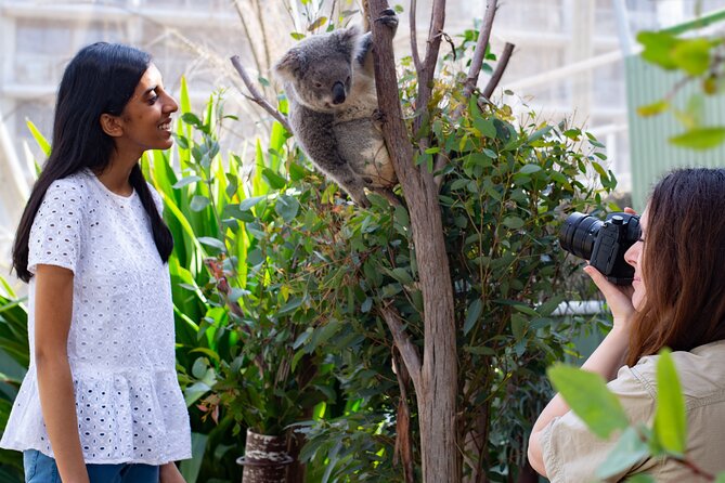 WILD LIFE Sydney Entrance Ticket - Reptiles, insects, and Rex the 5-metre saltwater crocodile