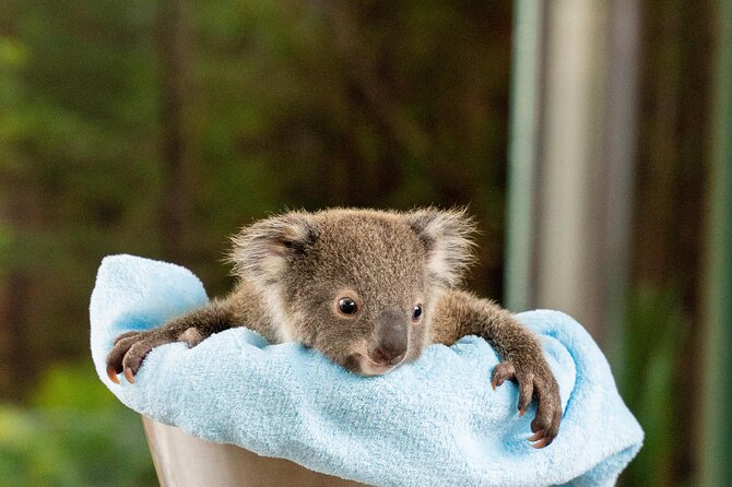 WILD LIFE Sydney Entrance Ticket - The nine habitats: what you’ll see and how to pace it