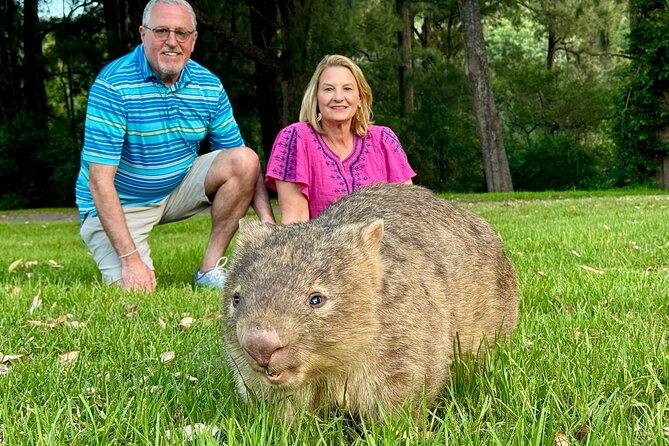 WILD Wombat and Kangaroo Day Tour, All Inclusive - Key things you’ll notice on this tour
