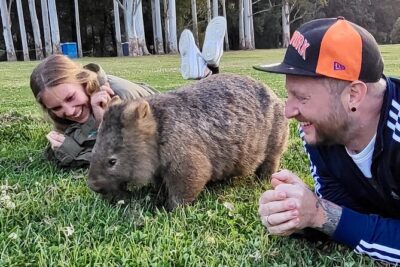 WILD Wombat and Kangaroo Day Tour, All Inclusive - Macquarie Pass National Park: a scenic drive with breathing room