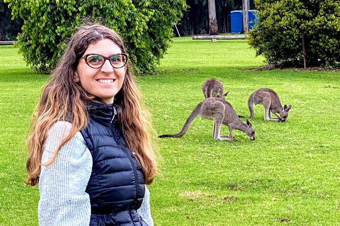 WILD Wombat and Kangaroo Day Tour, All Inclusive - Sunset Wildlife Time in the Southern Highlands